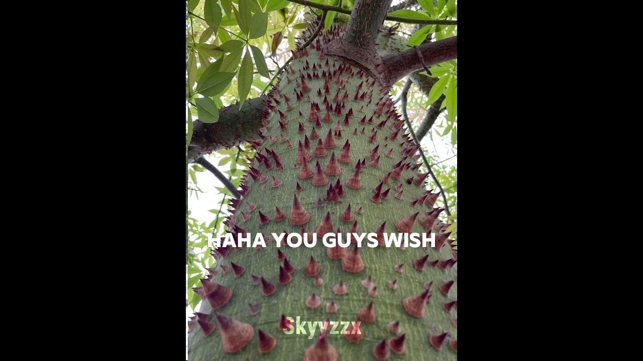 Lepidodendron tree... #shorts #capcut