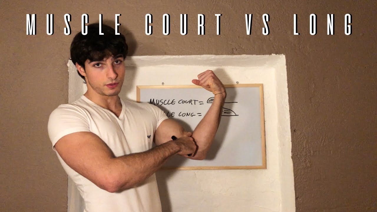 MUSCLE COURT VS MUSCLE LONG. J'EXPLIQUE TOUT !