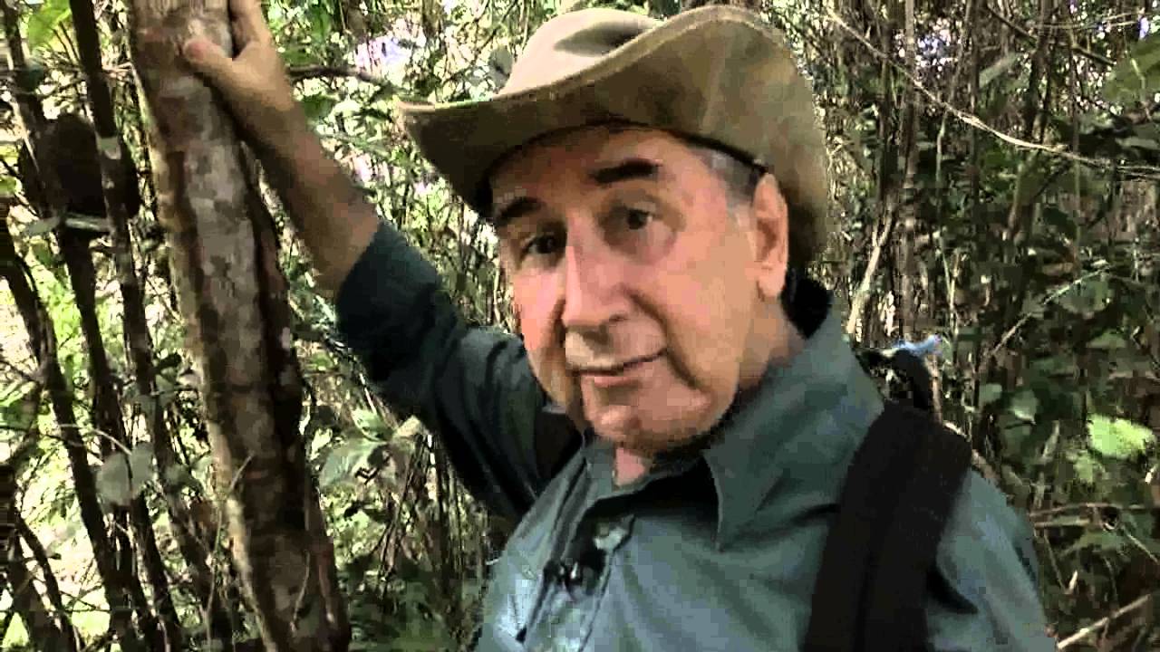 Ervas e Plantas | Especial Vila de Paricatuba II