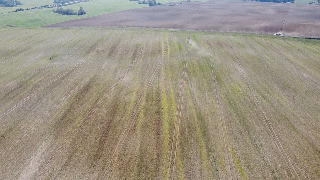 172. Feldexkursion: N-Düngung zu Raps im Herbst? - NU Agrar GmbH, 23.09.2020
