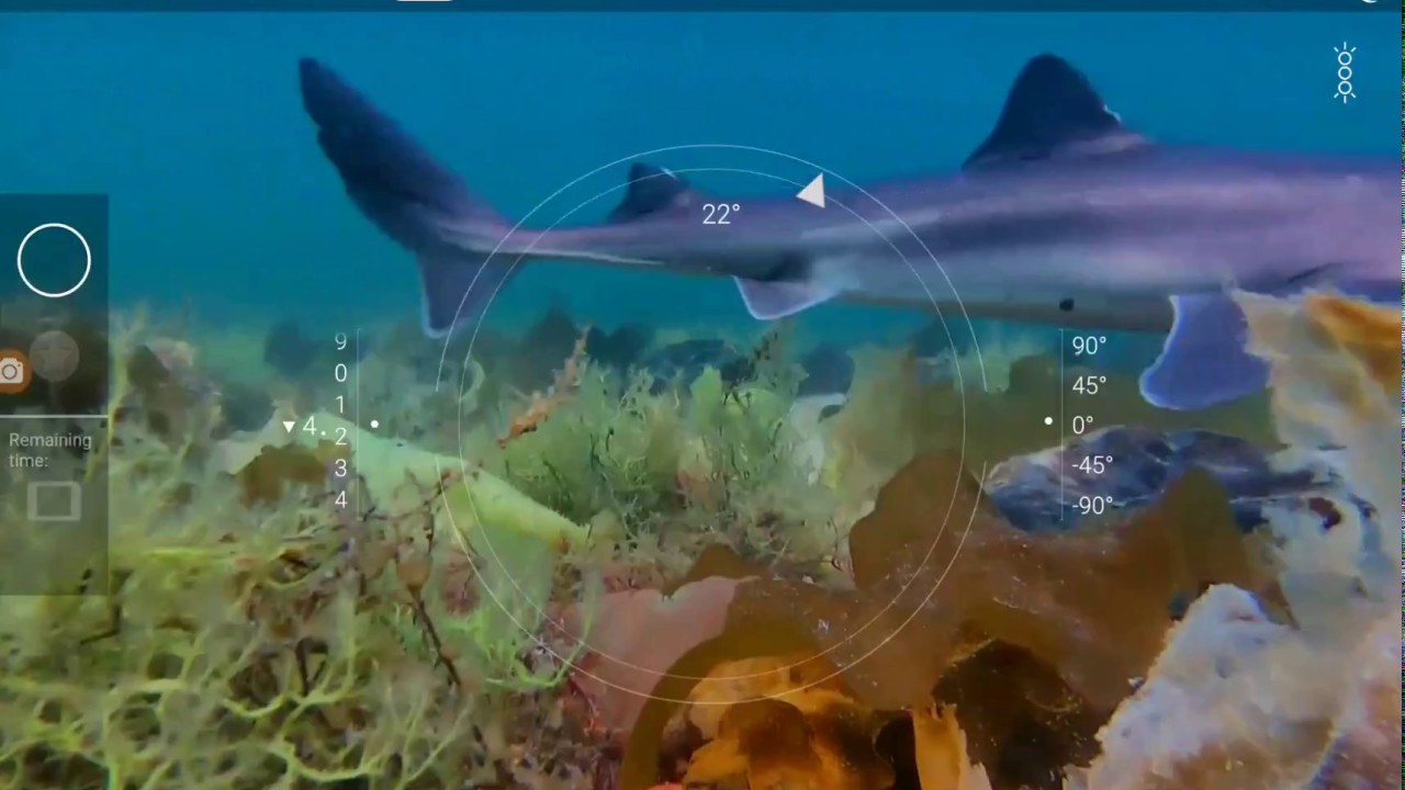 OpenROV 272 Trident, Dive 4, SHARK!