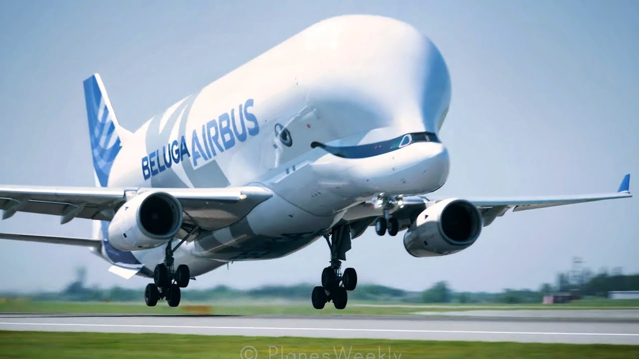 TOUCH & GO's! Airbus Beluga XL in Copenhagen Airport