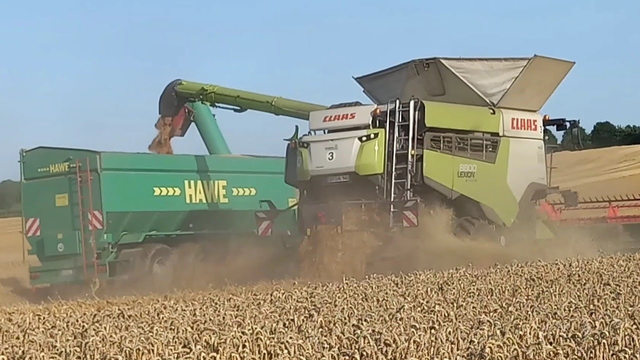 Weizen dreschen auf Gut Hohen Luckow Lexion 8800,John deere 7250r-Hawe Ulw 4000