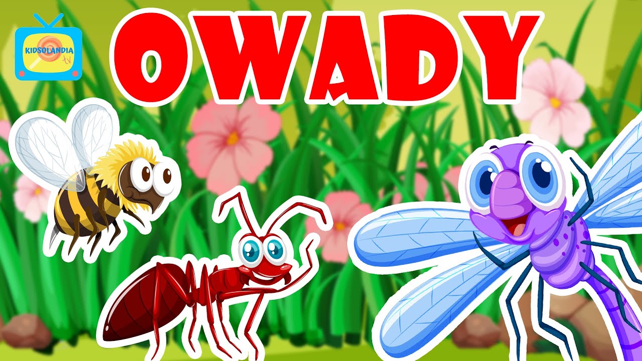 Owady - Nauka zwierząt dla dzieci - Bajka edukacyjna dla dzieci