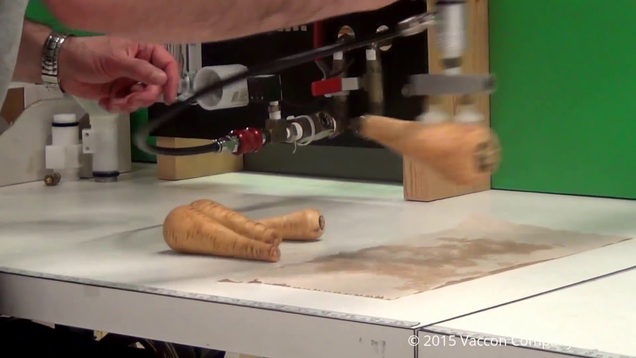 Vaccon Pick and Place - Parsnips / Vegetables - Adjustable Air Amplifier (CDF 375H or CDF 750HFM)