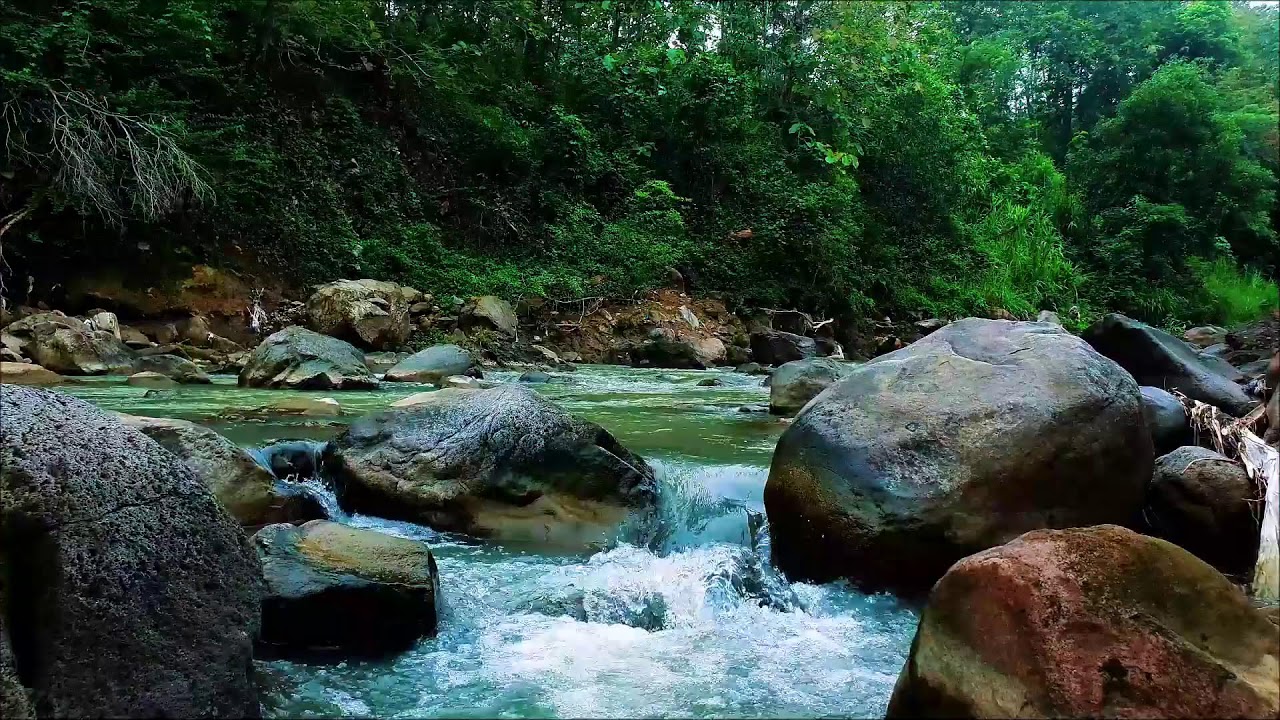 Nature Sounds for Sleeping – Quiet River Water for Restful Night