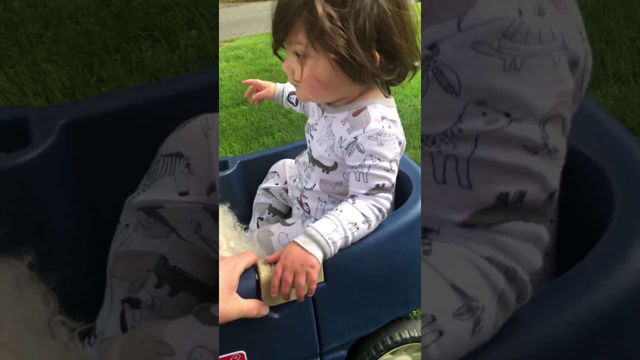 Step2 wagon, children wagon, kids wagon, dog wagon