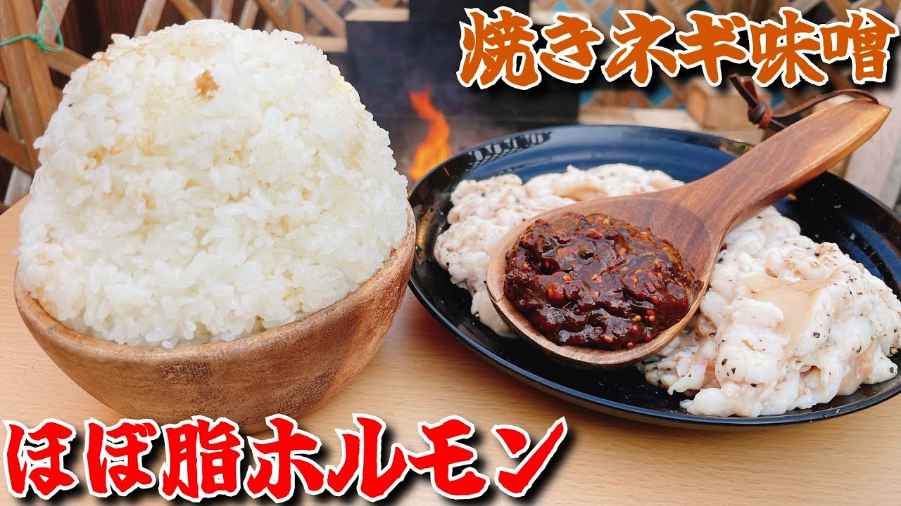 ほぼ脂なホルモンと香ばしい焼きネギ味噌っていう昇天確定なコンビで爆盛りマンガ飯をひたすら食らう