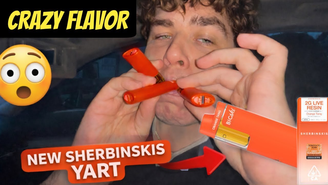 TRYNG THE NEW SHERBINSKIS YARTS😮&zwj;💨