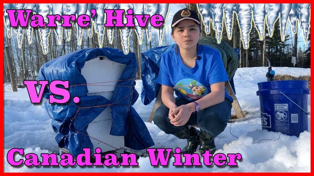 Can Bees SURVIVE the Extreme Canadian Winter in a Warre Hive?!?