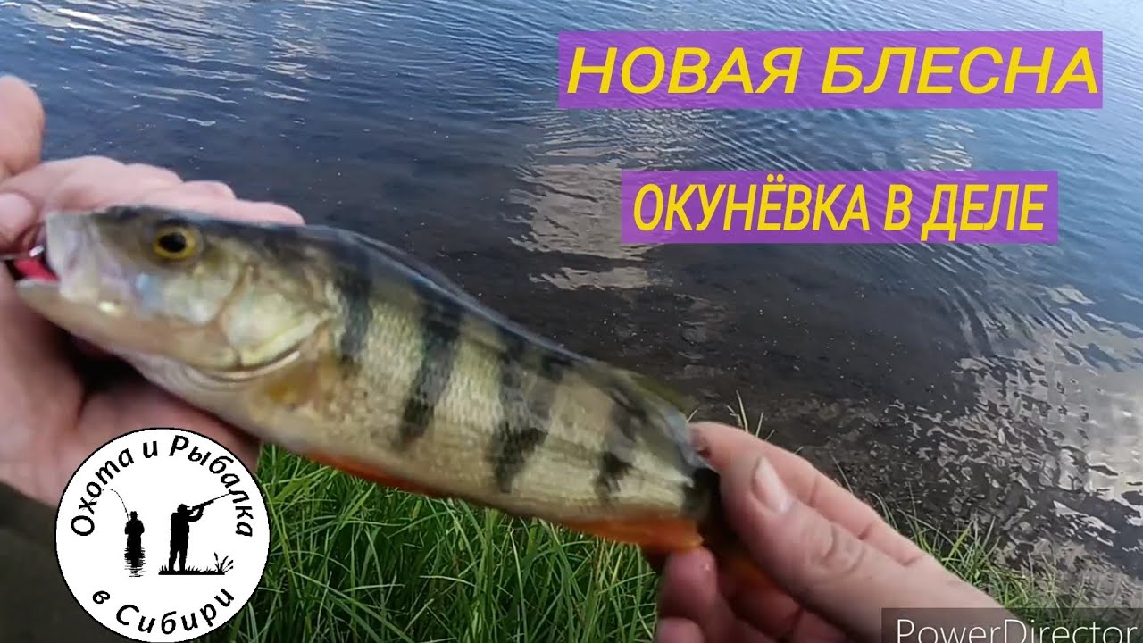 новая окунёвая блесна ! Перьмяки, Канский район, Красноярский край