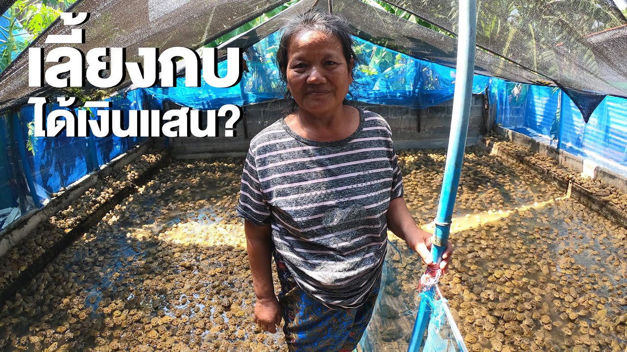 มองโลกกลับหัว Ep.4 | เลี้ยงกบ สร้างรายได้เสริม ปีนี้ลงฮวก 20 กิโล จะได้เงินกี่บาท