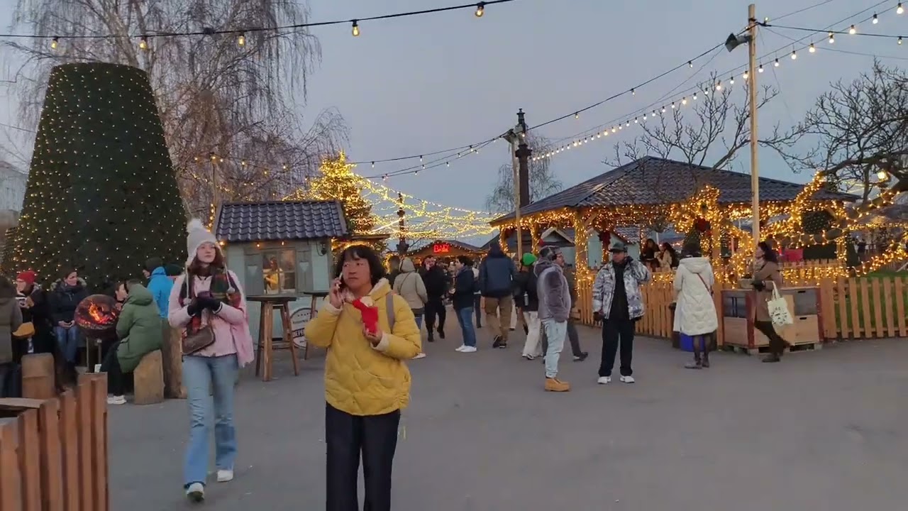 GENEVA CHRISTMAS MARKET DEC 2024 AT SWITZERLAND #mrtenny #switzerland #geneva #travel 