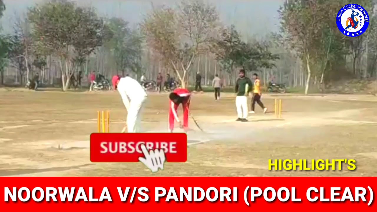 Noorwala (Harsh Amargarh) V/s Pandori (Sunny Satiana) // Pool Clear Match // Cosco Cricket Haibowal
