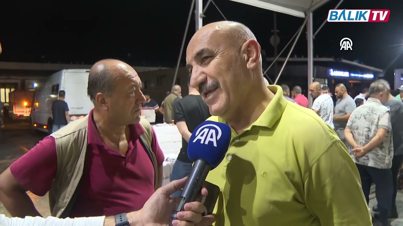 Av sezonunun açılmasıyla Gürpınar Balık Hali'nde palamut bolluğu yaşandı | Balık TV #balıktv