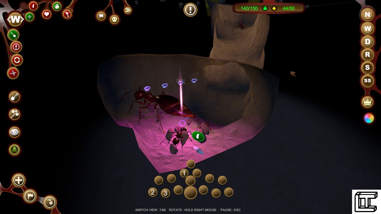 Play testing the Beta version of Ant Queen 3D. Version 2.1