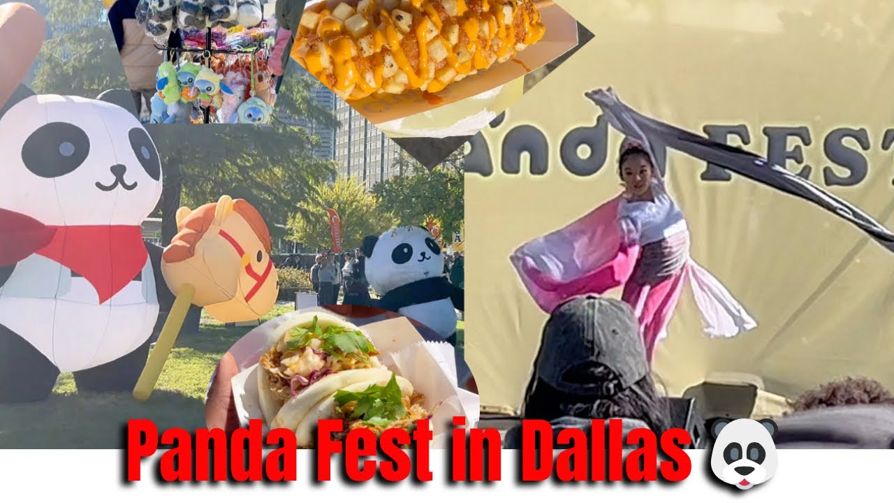 Panda Fest in Dallas 🐼 Food, Performances & Vibes