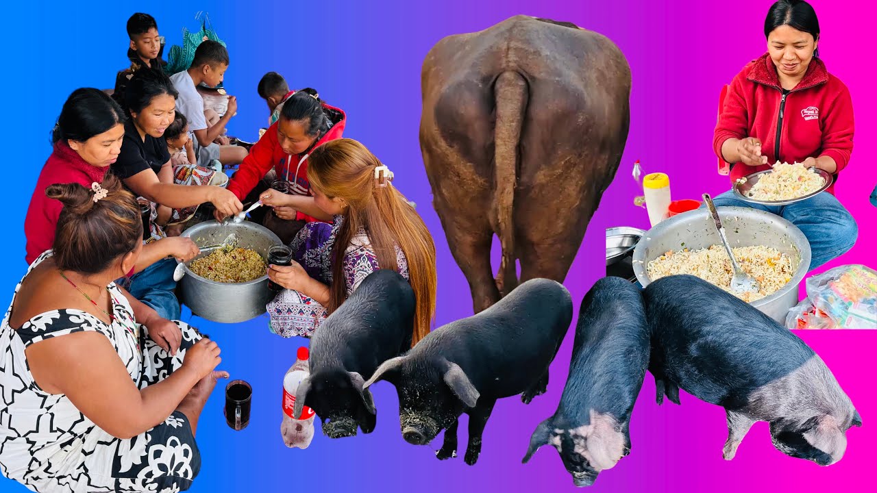 डाइनेसोर को गाला चै कसतो छ कमेन  plz🙏🏻❤️😂