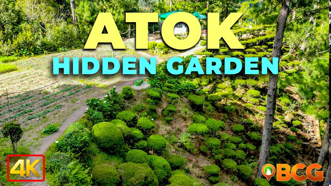 Exploring the Hidden Garden Atok Benguet: Bonsai Cypress Trees & Scenic Drive