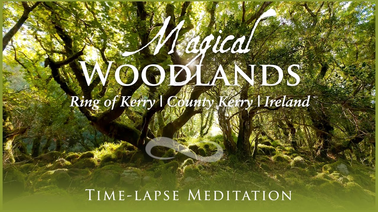 Ep3 Like a dream... - Magical Woodlands, Ireland | Skellig Coast | Wild Atlantic Way