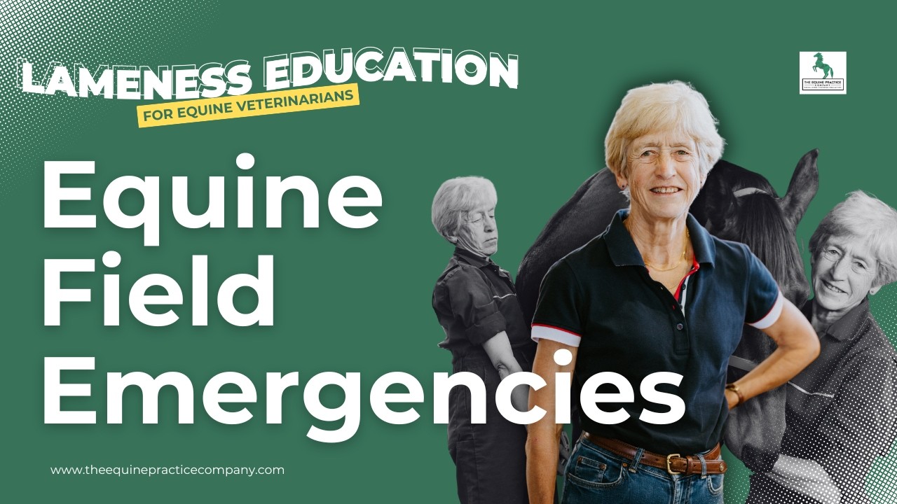 Equine Field Emergencies: Diagnosing Sudden-Onset Lameness in Horses