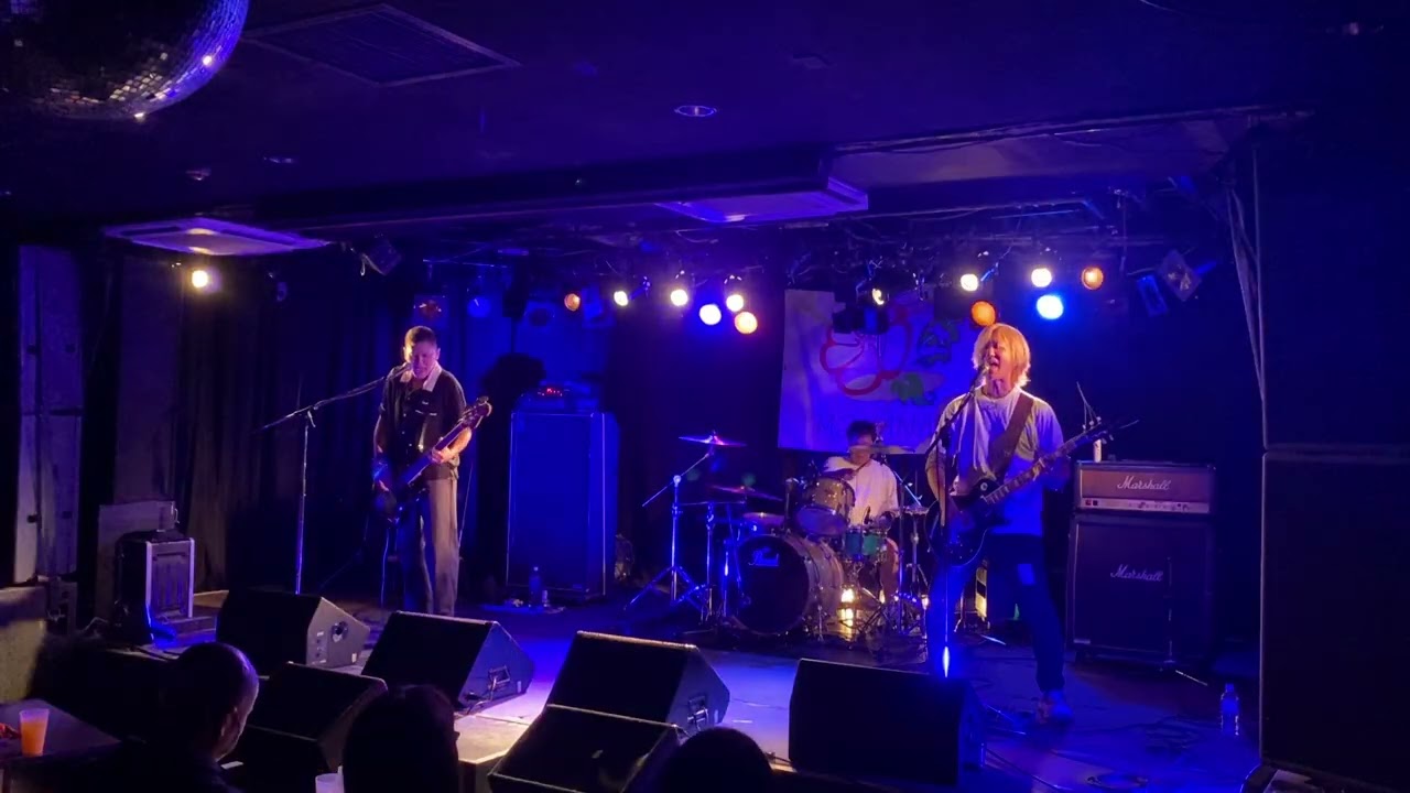 Dear#ライブ #バンド #邦ロック #ロック #ギター #メロコア #rock #音楽 #music 