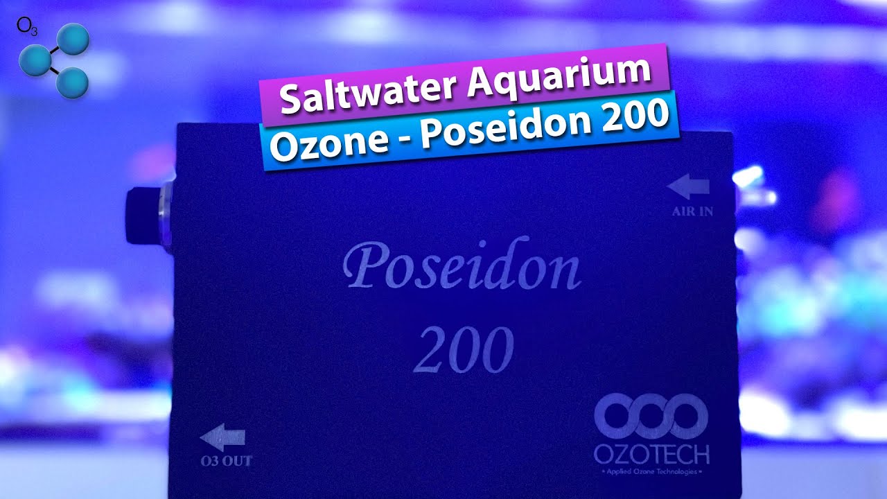 Ozone Reef Tank - Ozotech Poseidon 200