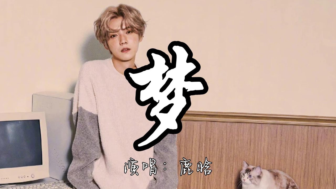 鹿晗 - 梦『如梦 如烟似梦坠入了其中 烟雨朦胧初现你轮廓。』『动态歌词MV』