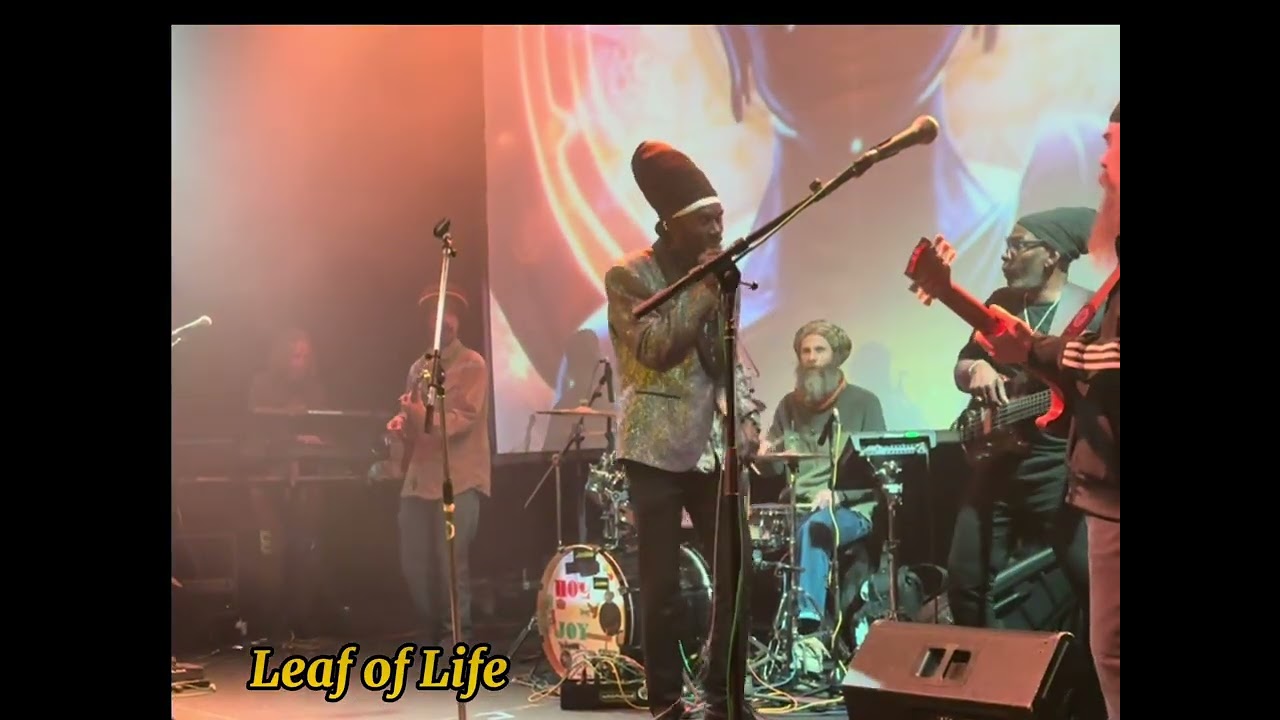 Leaf of Life Live @ The mateel Center Redway ca 🇯🇲✅Reggae music 🎵 in California 