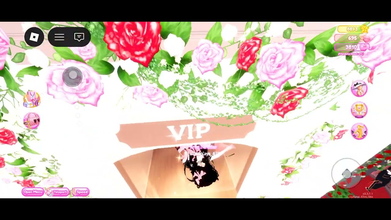 How to break in VIP (dti)