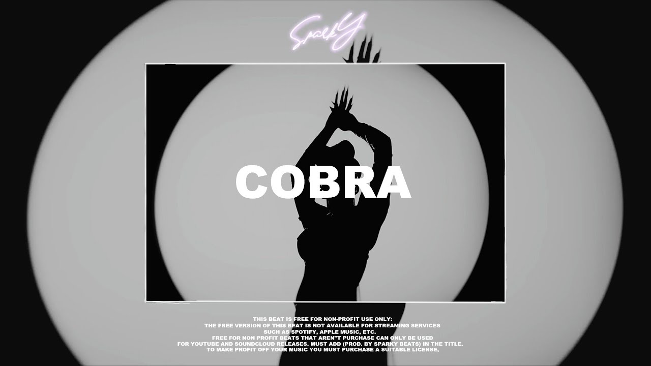 (FREE) Megan Thee Stallion Cobra Type Beat 2023 "COBRA"