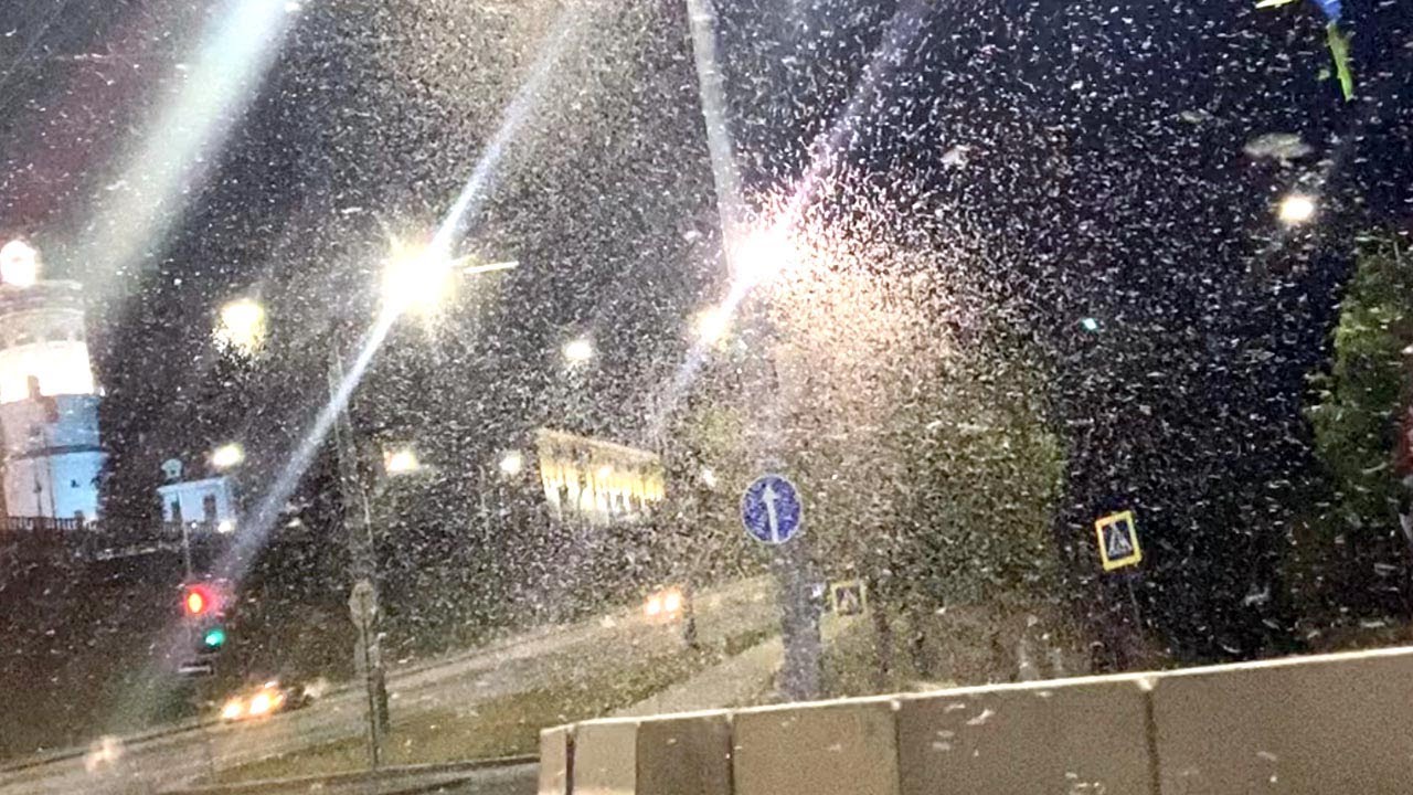 Woman Surrounded By Swam Of Mayflies