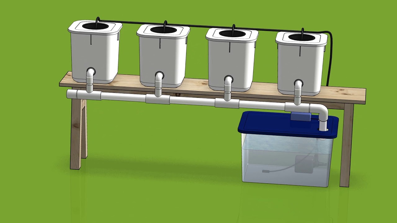 Dutch Bucket System