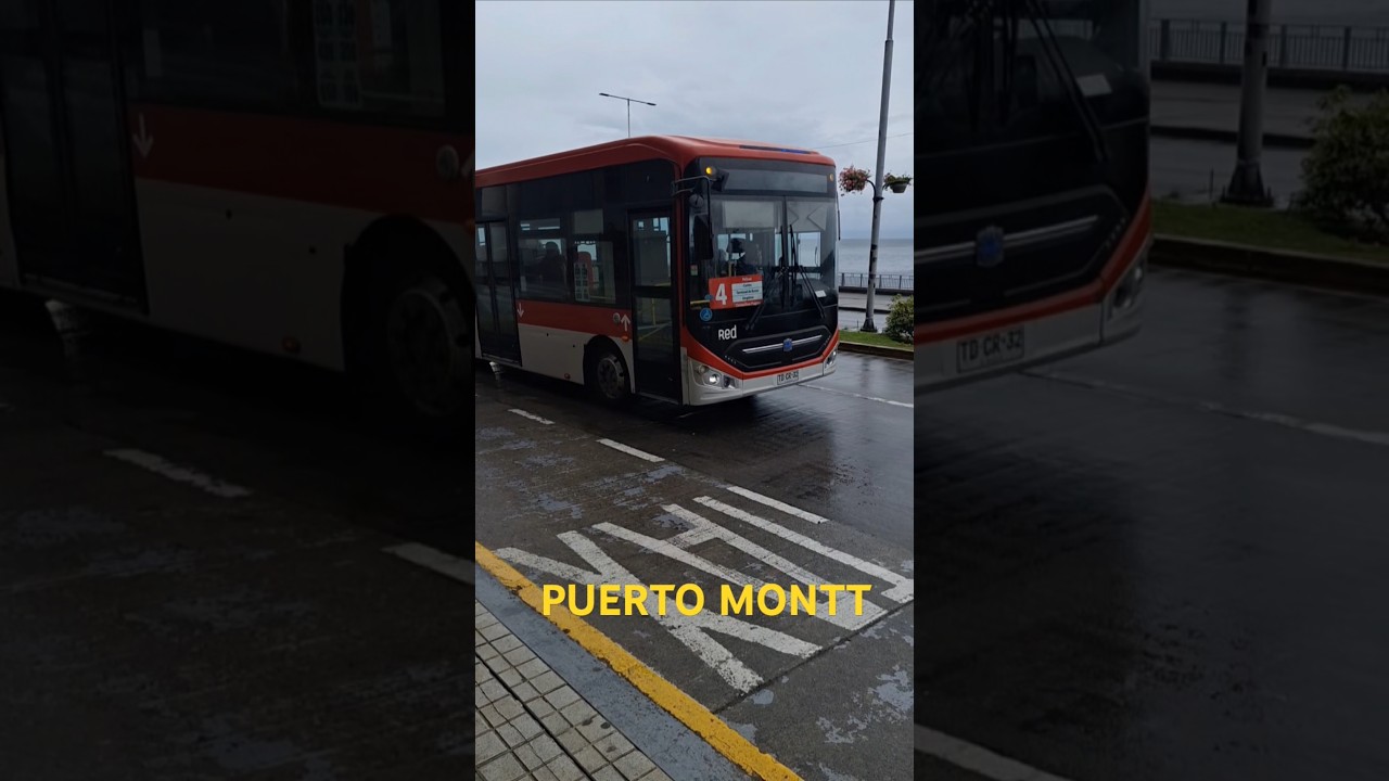 BUSES EL&Eacute;CTRICOS CHINOS