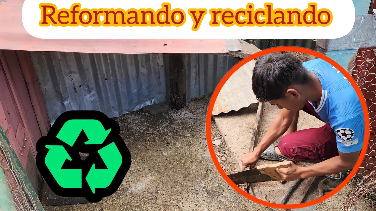 Seguimos trabajando 💪 #reciclando #mundoverde #granja #pollitos 