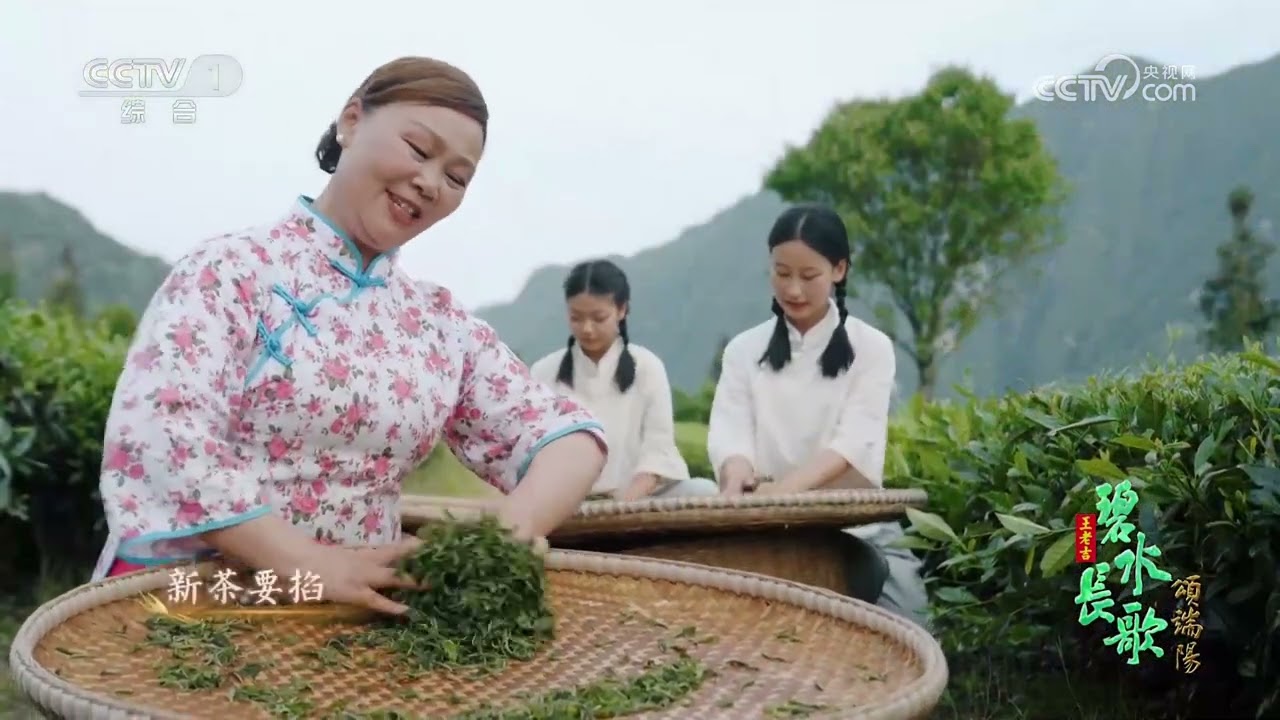 [碧水长歌颂端阳]薅草锣鼓《采茶歌》 表演：秭归县薅草锣鼓艺术团 等| CCTV