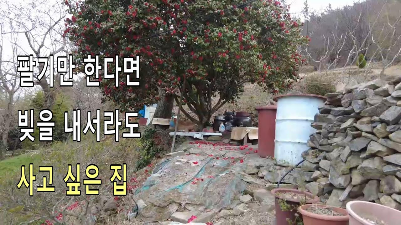 팔기만 한다면 빚을 내서라도 사고 싶은 집[여수인tv]