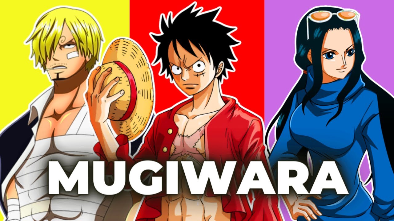 L'ÉQUIPAGE DE LUFFY DANS ONE PIECE EXPLIQUÉ