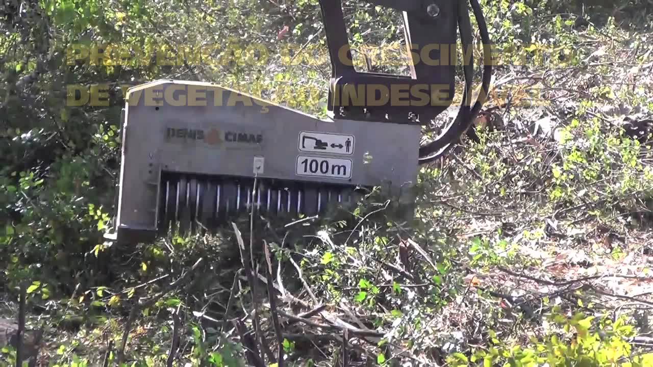 Supressão Vegetal e Controle de Vegetação - Escavadeiras - DENIS CIMAF Brasil