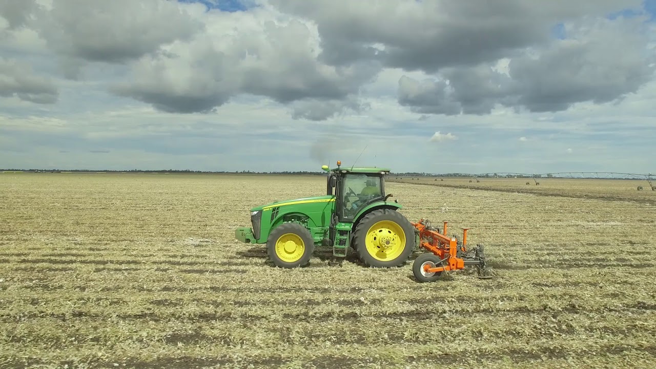 Scorpion Root Cutter