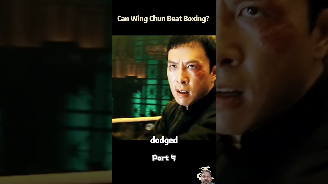 Ip Man fight scene 