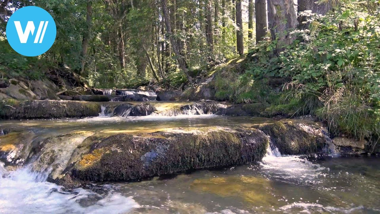 Instream River Training (IRT) - Naturnaher Flussbau nach Viktor Schauberger