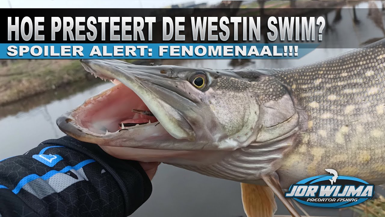 De Swim van Westin, Deze jerkbait is in 1 woord: Fenomenaal!
