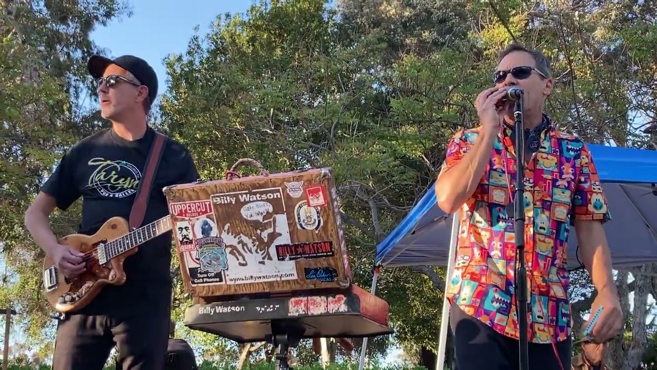 Billy Watson & Nathan James harp fest 2025