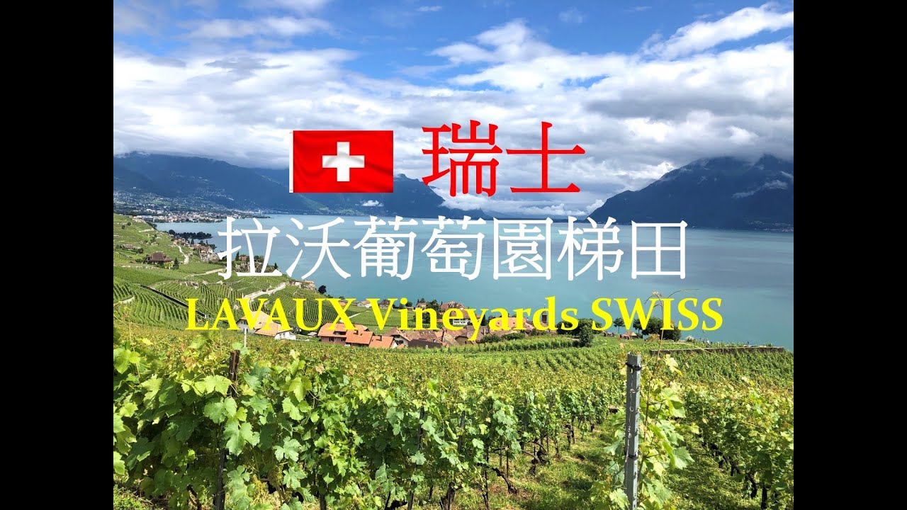 深度自由行推薦​ - 巡遊瑞士最美的「拉沃」葡萄園梯田 Discover Switzerland’s most beautiful vineyards - LAVAUX