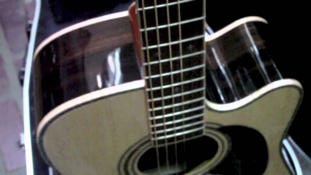 Martin D28 Review vs. Zager EZ-Play Acoustic Electric GUITAR SHOOTOUT