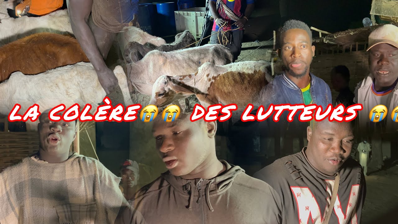 La colère 😭😭des lutteurs Lamb Ndangane le 20 Janvier 2026