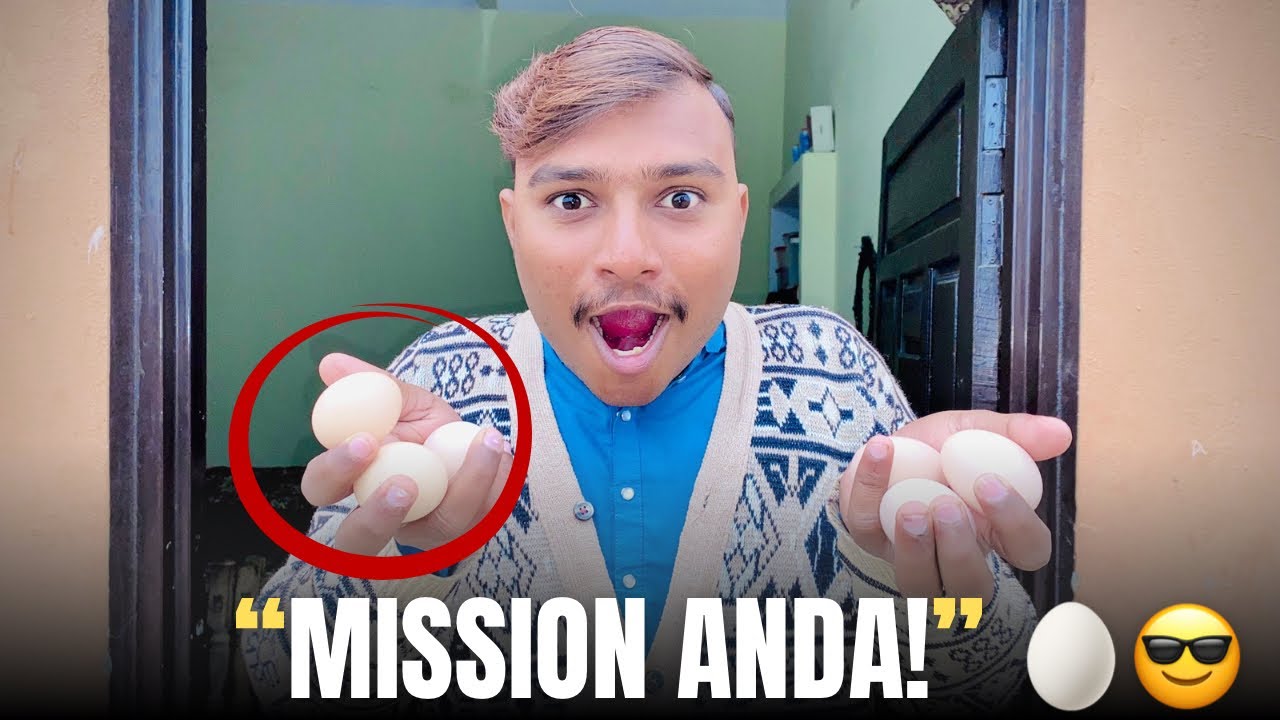 Aaj Ka Mission! Kon Kon Si Murghi Ne Anda Diya? 🐔🥚
