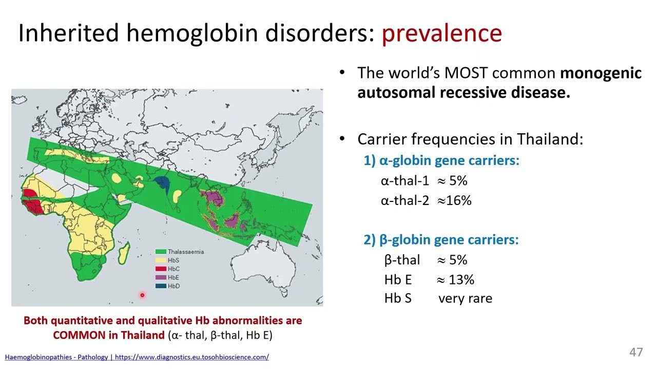 PPT2_anemia_part 6_slides46-53
