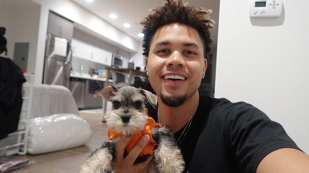 I Got A Miniature Schnauzer Puppy! #Vlog
